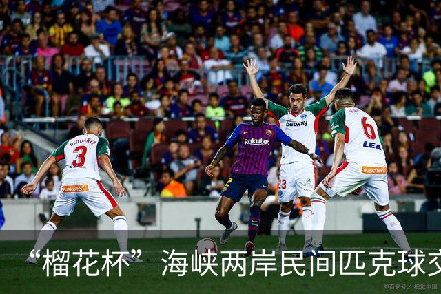 “榴花杯”海峡两岸民间匹克球交流赛在云南省玉溪开赛