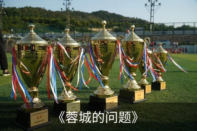《蓉城的问题》