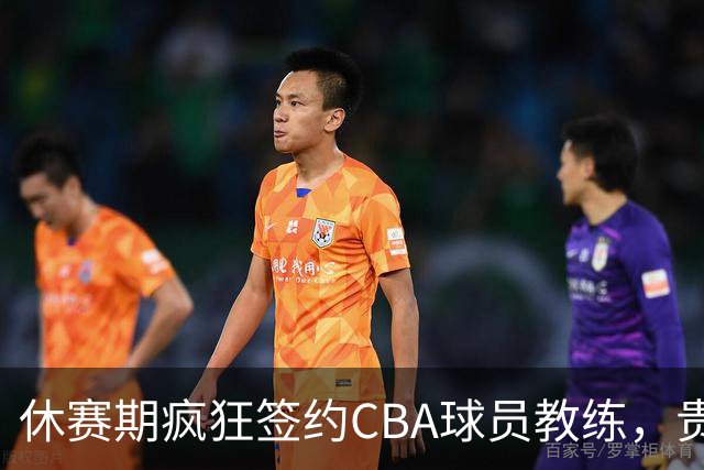 休赛期疯狂签约CBA球员教练，贵州猛龙一掷千金剑指CBA