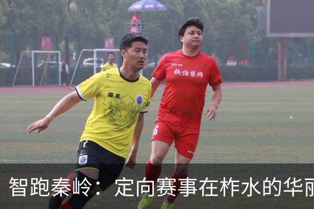 智跑秦岭：定向赛事在柞水的华丽绽放